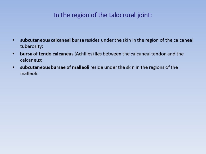 In the region of the talocrural joint:  subcutaneous calcaneal bursa resides under the